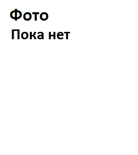 Медведева Елена Борисовна.