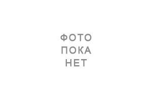Майкова Вера Николаевна Майкова Вера Николаевна